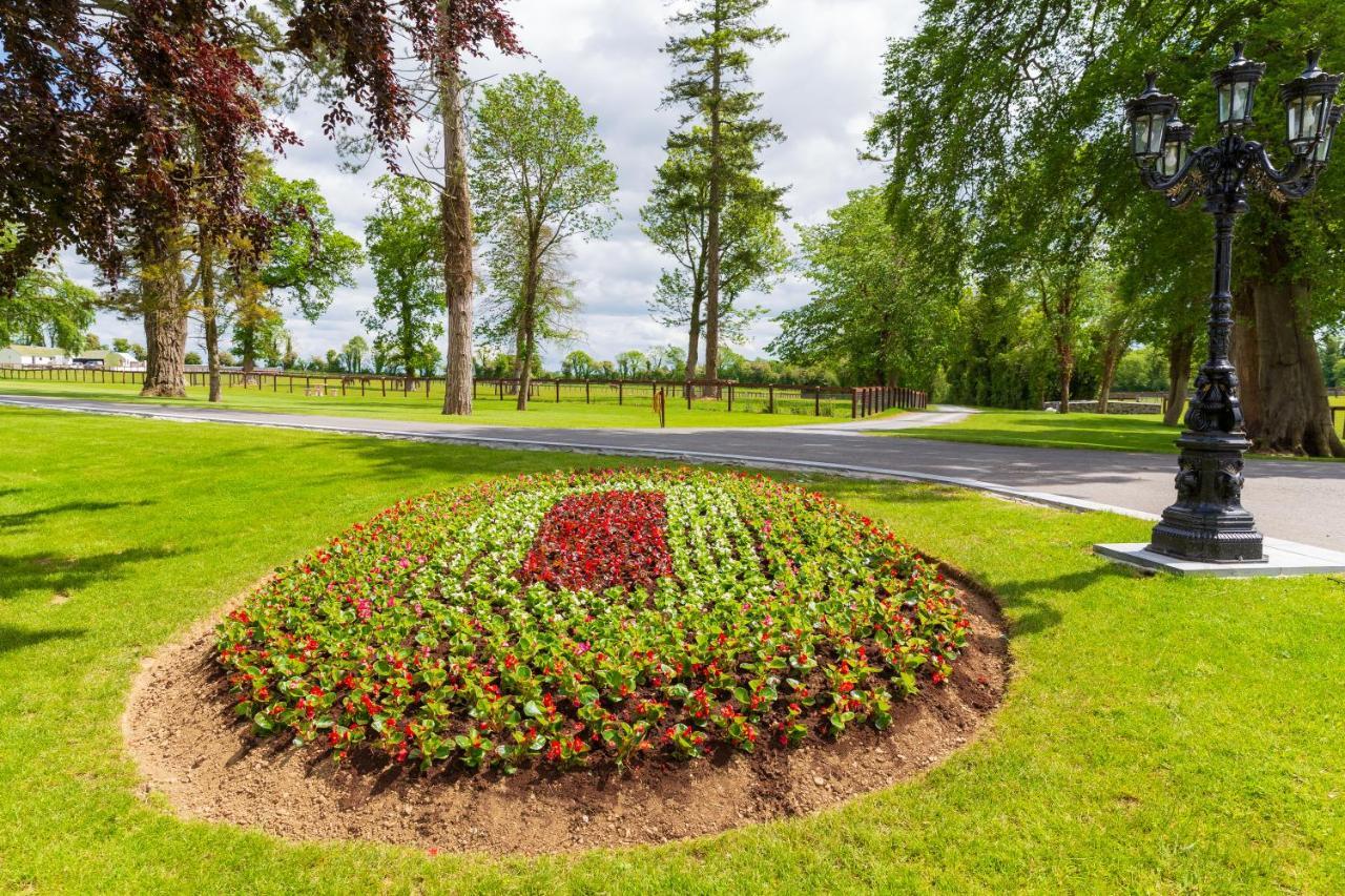 Queens Brook Apartment Navan Exteriör bild
